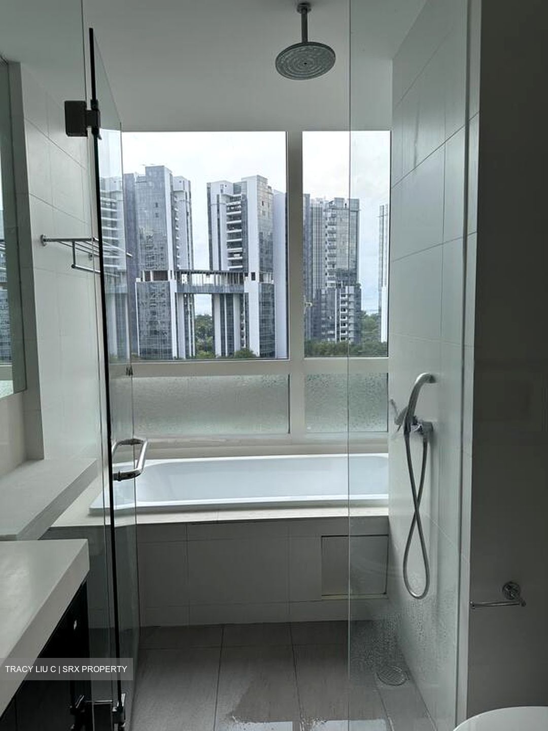 The Sea View (D15), Condominium #627535451